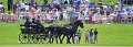 _MG_2130[1]_edited-1